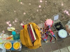 -北京麋鹿生态实验中心