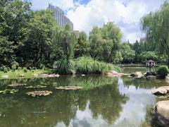 -新虹桥中心花园
