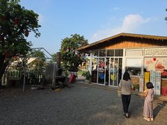 -长洲岛都市农业公园