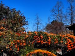 -天龙八部武侠城