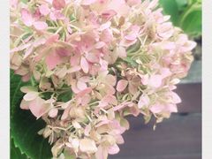 -红星美凯龙(上海沪南店)