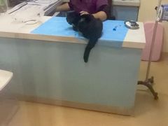 -瑞派·关忠动物医院(国瑞店)