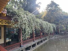 -富乐山
