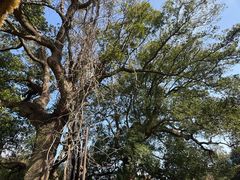 -缥缈峰景区