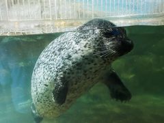 -福州罗源湾海洋世界旅游区