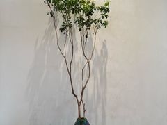 -恒悦尚品(上海展览中心店)