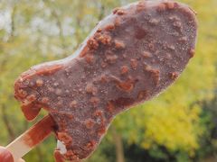 -广州白江湖森林公园