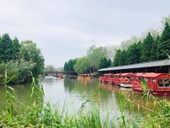 -溱湖国家湿地公园