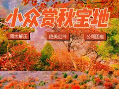 -沉浸北京·团建旅行·密室剧本杀·年会会议轰趴拓展