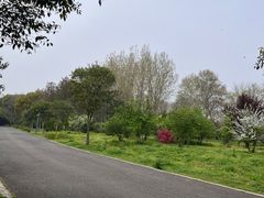 -蜀冈西峰生态公园