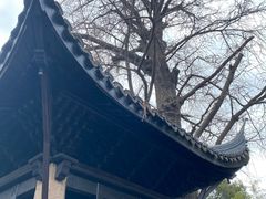 -惠山古镇·寄畅园