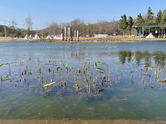 -佛手湖郊野公园