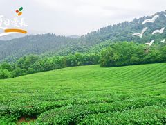 景点-敬亭山风景名胜区