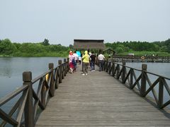 -溱湖国家湿地公园