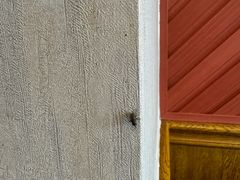 -老王头饺子(孟家店)