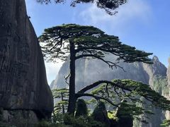 -黄山风景区