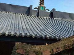 -龙泉洞(沙坪坝区)