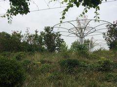 -白鹿原葡萄主题公园