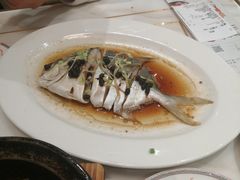 -稻香酒家·33年老字号·港式粤菜(富邦中心店)