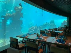 -海棠湾洲际-涛·海底餐厅·美人鱼·自助餐·海底隧道