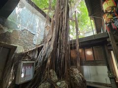 -文儒九号·闽菜馆(三坊七巷店)