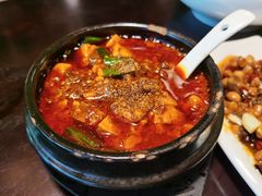 -陈麻婆豆腐总店
