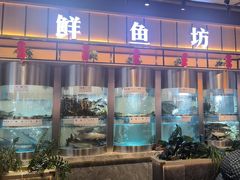 -老船舫·现做活鲜鱼馆(东郊记忆店)