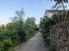 -东梓关景区村庄