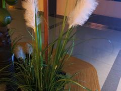 -万达影城(常熟IMAX店)