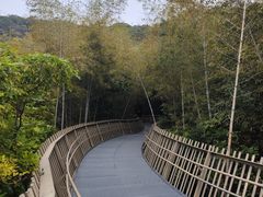 -福道