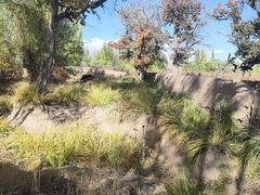 -新疆天山托木尔景区·大峡谷