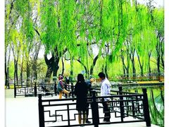 -玲珑塔公园