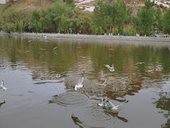 -宗角禄康公园