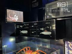 -同济大学四平路校区深海探索馆