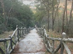 -青龙山国家森林公园