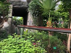 -南宫五洲植物乐园