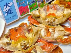-老大连·海肠捞饭·大连海鲜大连菜(西安路店)