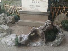 -西湖外事游船(花港观鱼码头)