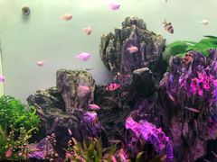 -多彩贵州城极地海洋世界