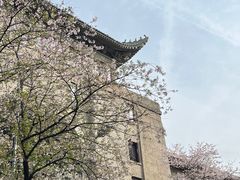 -武汉大学-樱园