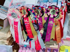 -爱宠屋pet shop·宠物洗澡·宠物美容