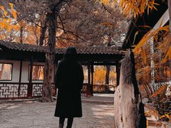 -汇龙潭