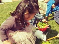 -前小桔亲子创意农场·草莓采摘·露营烧烤