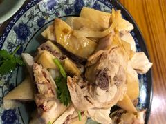 -九斤黄三黄鸡专卖店