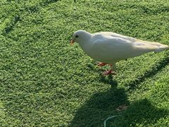 -北京鹿世界主题园