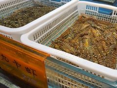 -国惠大酒楼(仓山万达店)