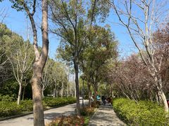 -长广溪湿地公园