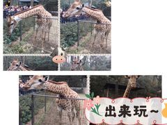 -杭州动物园