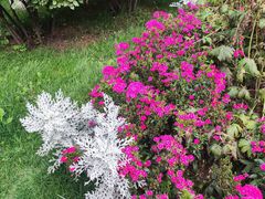 -青藏高原野生动物园