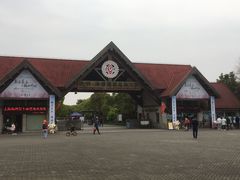 -上海海湾国家森林公园
